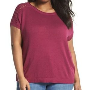 Sejour  Purple  Pullover Knit Top